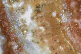 Polished Orbicular Ocean Jasper Slab - Madagascar #382014-1